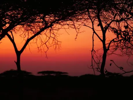 Tanzania Trip Gallery