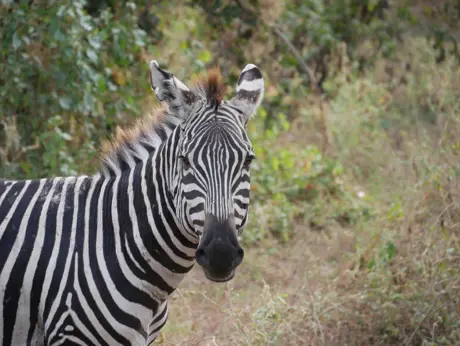 Tanzania Trip Gallery